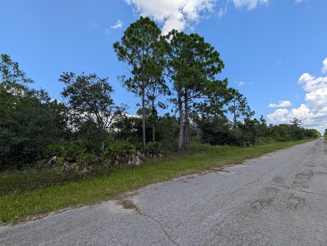 INDIAN LAKE ESTATES - Land