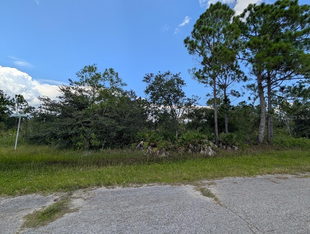 INDIAN LAKE ESTATES - Land
