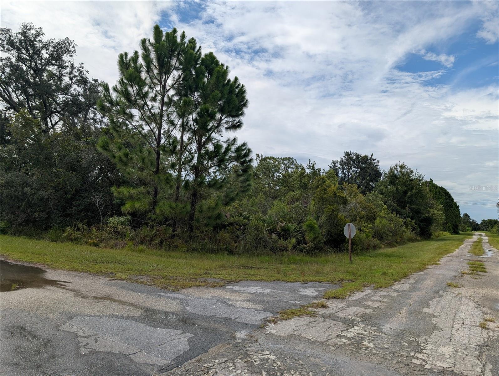 Come build your forever home on this one-half acre corner lot that located in the lake community of Indian Lake Estates, a golfing, fishing community. Indian Lake Estates is about 20 miles east of Lake Wales. The community surrounds the 7,500 acre lake locally known as Lake Walk In Water, nationally known for its fishing and considered to be one of the best bass fishing lakes in all Florida. The lake has a beach, boat ramp, boat marina and the longest freshwater Fishing pier in the State of Florida. The pavilion is located at the front of the pier and is complete with propane grills and covered picnic tables. The community amenities include an 18-hole golf course, basketball and tennis courts, 23, 000 sq.ft. clubhouse, cafe, post office, churches, library, fitness room and pro shop. If you love nature and the peace and quiet of the country you're in luck. Wildlife is plentiful! You will see deer, raccoon, turkey, turtles, cranes and various species of birds that call Indian Lake Estates their home. Orlando and Disney is only about an hour's drive north and Tampa, Busch Gardens, and the Gulf's pristine beaches only a little over an hour west. Historic Bok Tower, a National Landmark, is in nearby Lake Wales. The Westgate River Ranch Resort and Rodeo is just six miles away. An authentic Florida dude ranch and full-service resort offering guests the opportunity to experience "Old Florida." Encompassing 1,700 beautiful acres, Westgate River Ranch features horseback riding, wildlife airboat and swamp buggy rides, Saturday night championship rodeo, trap/skeet range, nature hikes, petting farm, marina, Adventure Park with zip line and rock climbing wall, Westgate Smokehouse Grill and River Ranch Saloon and much more. Cowboy-themed accommodations range from ranch-themed lodge guestrooms and deluxe lodge suites to spacious cottages, two-bedroom cabins, Glamping and Luxe Teepees. Come out and see how great life can be at Indian Lake Estates! Polk County's best kept secret!