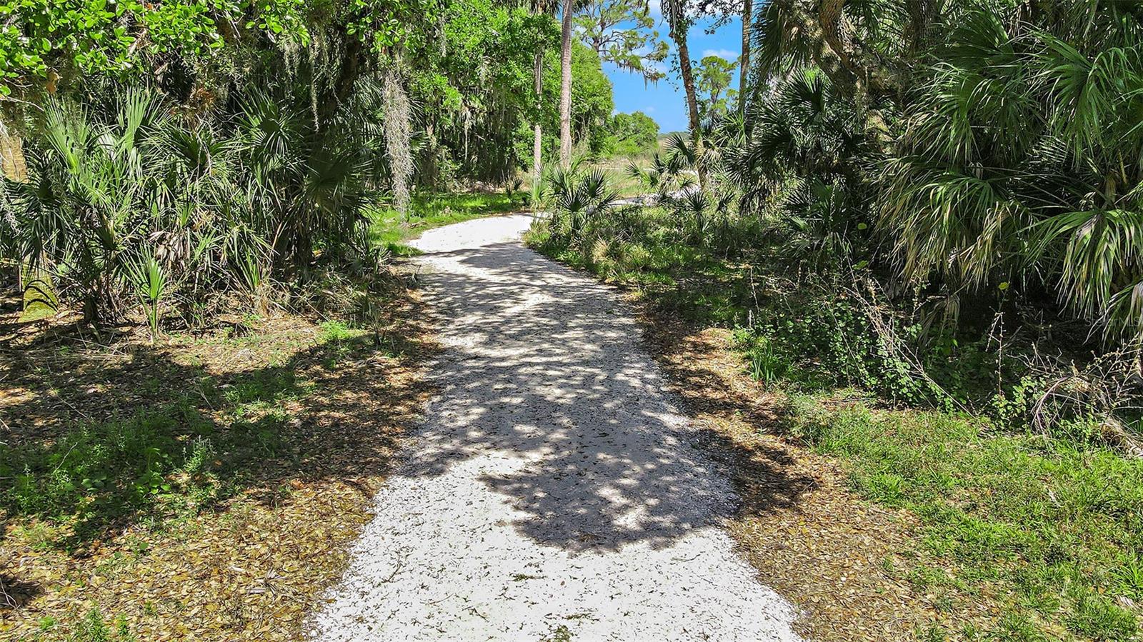 CASSIA AT SKYE RANCH - Residential