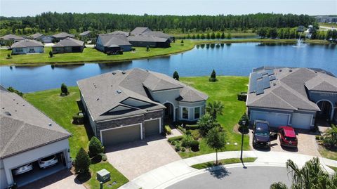 A home in LAND O LAKES