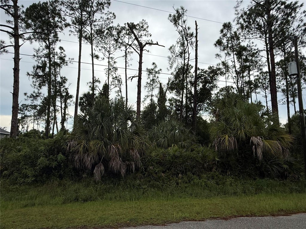 Photo of 2 Titan Street, North Port, FL 34286 (MLS # N6145502)
