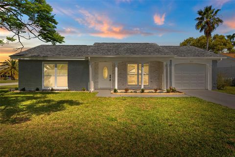 Photo of 3317 Honeymoon Lane, Holiday, FL 34691 (MLS # TB8487748)
