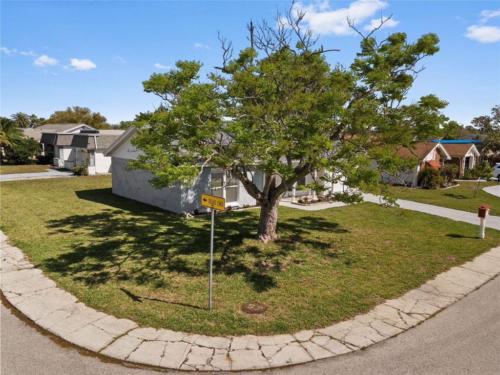 Photo of 3317 Honeymoon Lane, Holiday, FL 34691 (MLS # TB8487748)