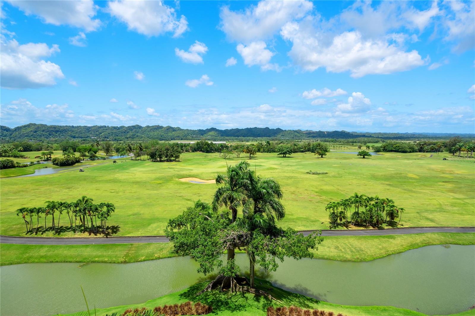 PLANTATION VILLAGE RESIDENCES - Residential