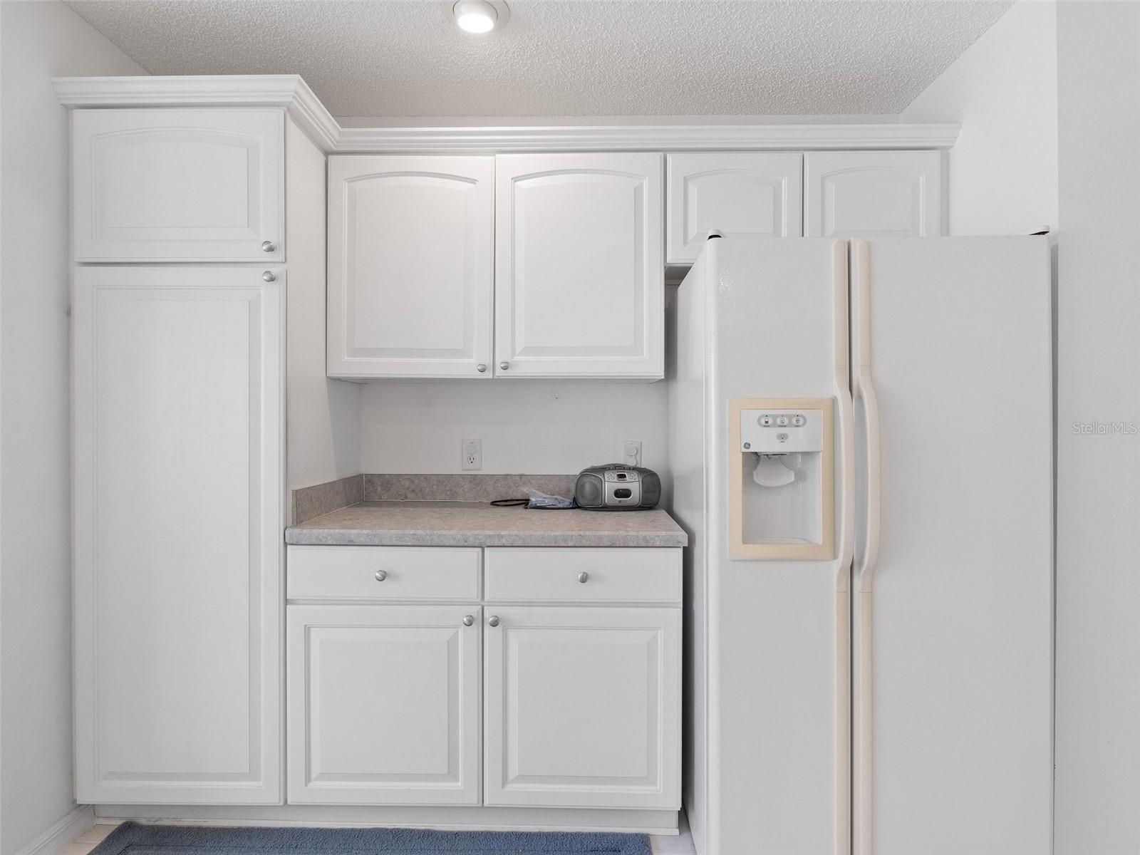 VILLAGES/SUMTER - Residential