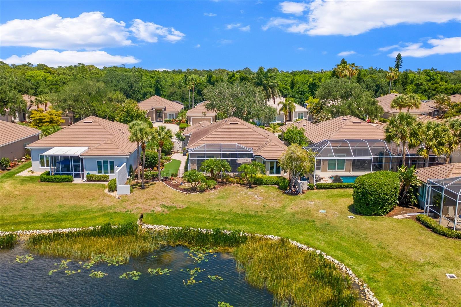 ROSEDALE 9 - Residential
