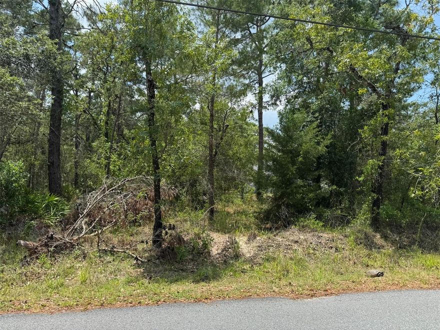 Discover the perfect canvas for your dream home in the highly desirable Evans Lakeside Heights. This exceptional 1.80-acre parcel offers a rare combination of serenity and convenience, nestled in a peaceful neighborhood while being just minutes from shopping centers, dining, and some of Florida’s most beloved natural attractions—including Weeki Wachee Springs, Homosassa Springs, and Crystal River. Whether you're looking to build a private retreat or an investment property, this lot offers unmatched potential in a prime location. Don’t miss this incredible opportunity to create something special!