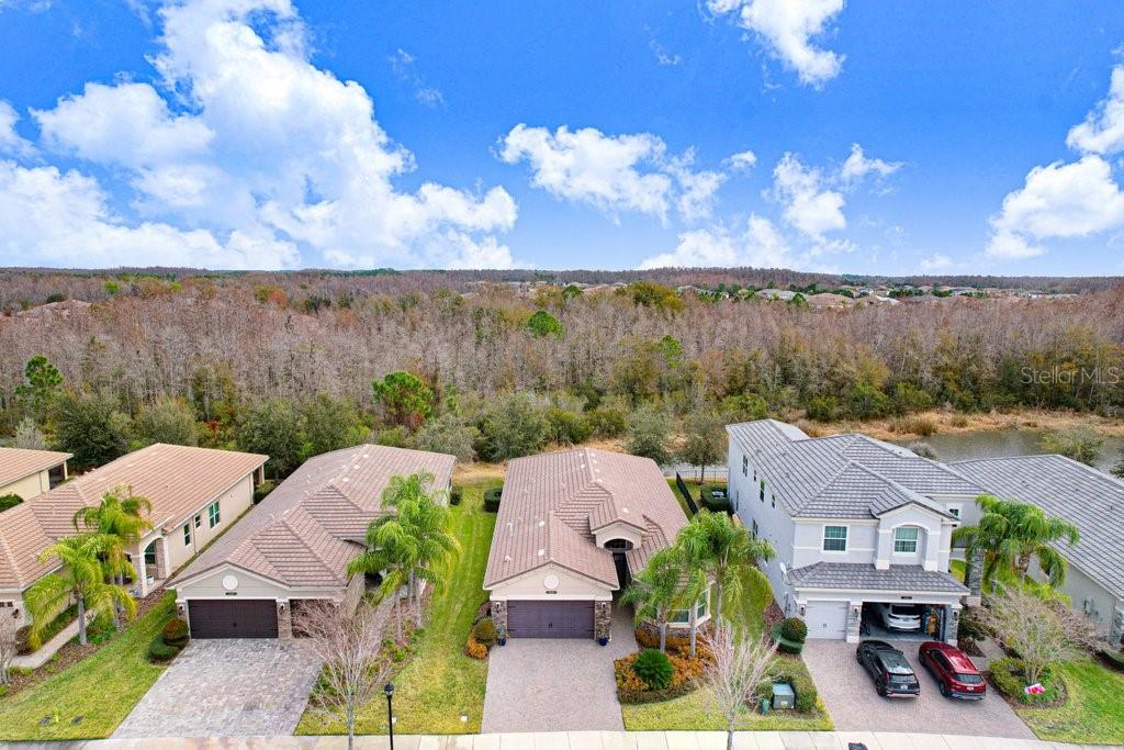 THE RIDGE AT WIREGRASS RANCH - Residential