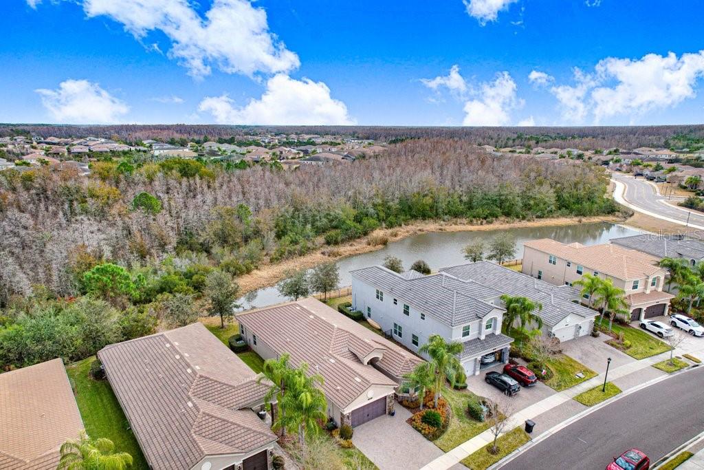 THE RIDGE AT WIREGRASS RANCH - Residential