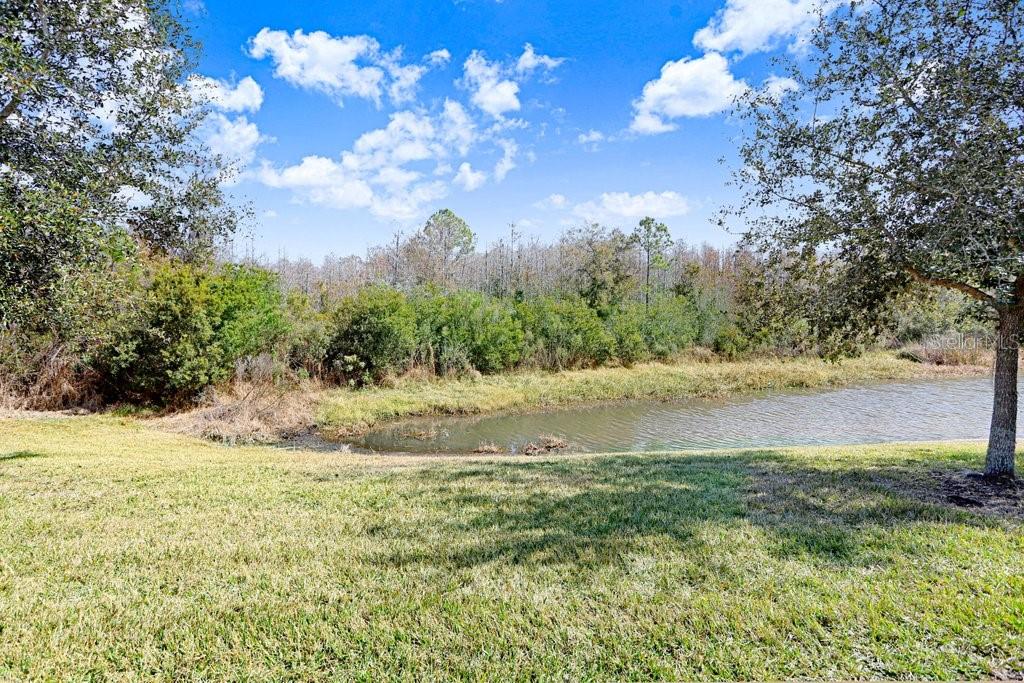 THE RIDGE AT WIREGRASS RANCH - Residential