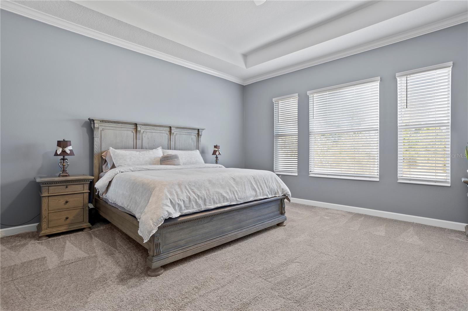 ESTATES AT WELLINGTON - Residential