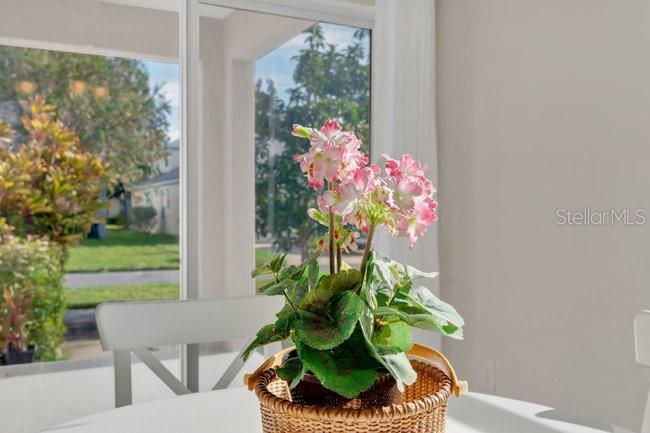 BIRCHWOOD NBHDS B & C - Residential