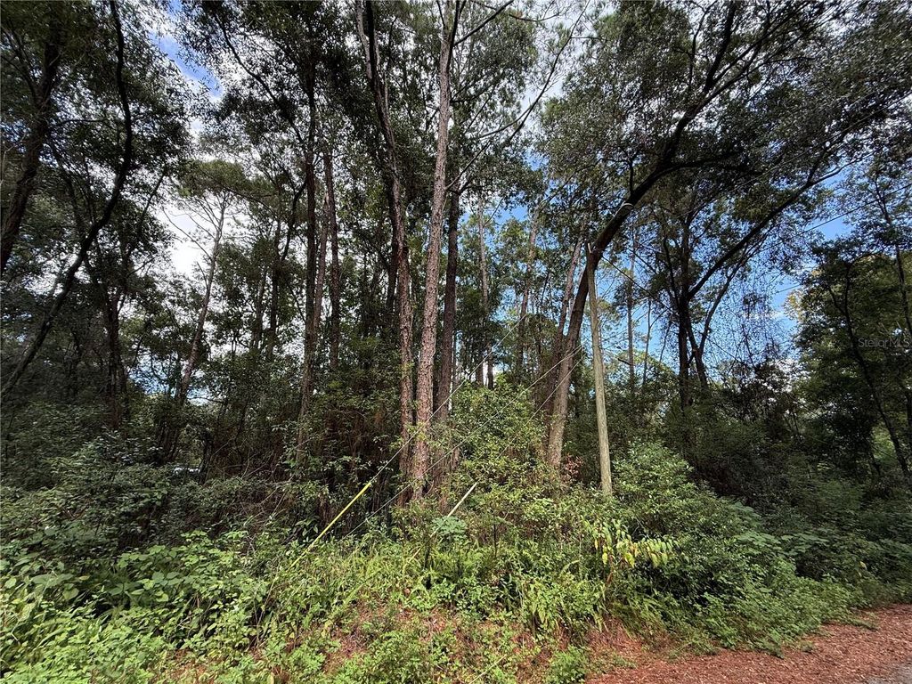 Photo of SE 9th Place, Gainesville, FL 32641 (MLS # GC536008)