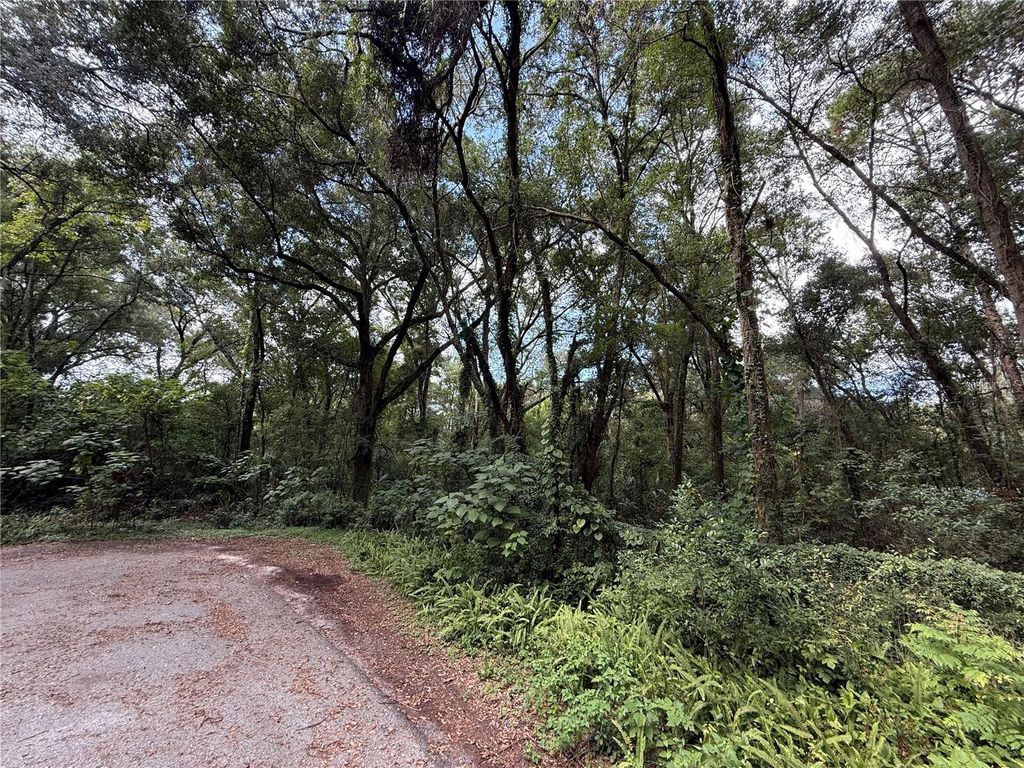 Photo of SE 9th Place, Gainesville, FL 32641 (MLS # GC536008)