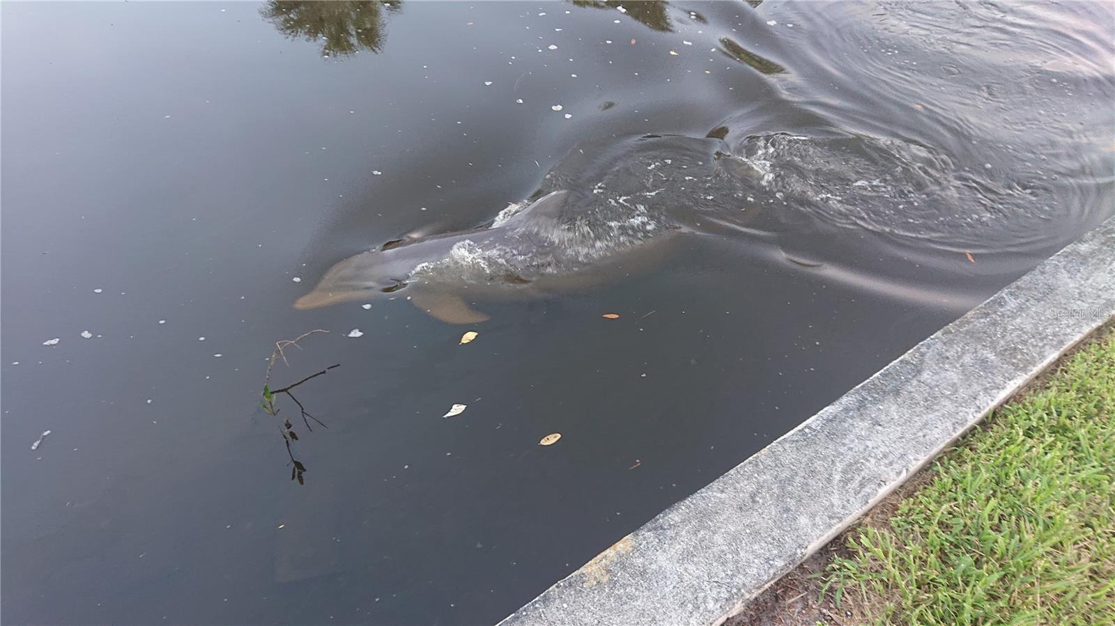 CAUSEWAY BLVD SUB 2 - Residential