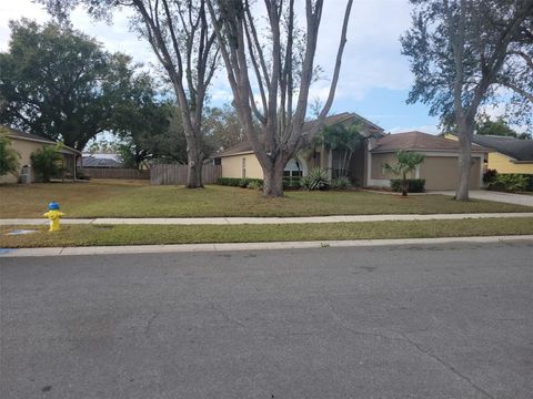 A home in VALRICO