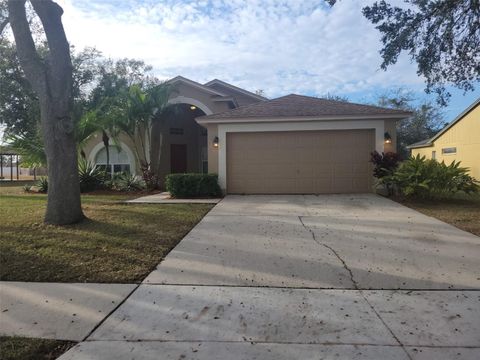 A home in VALRICO