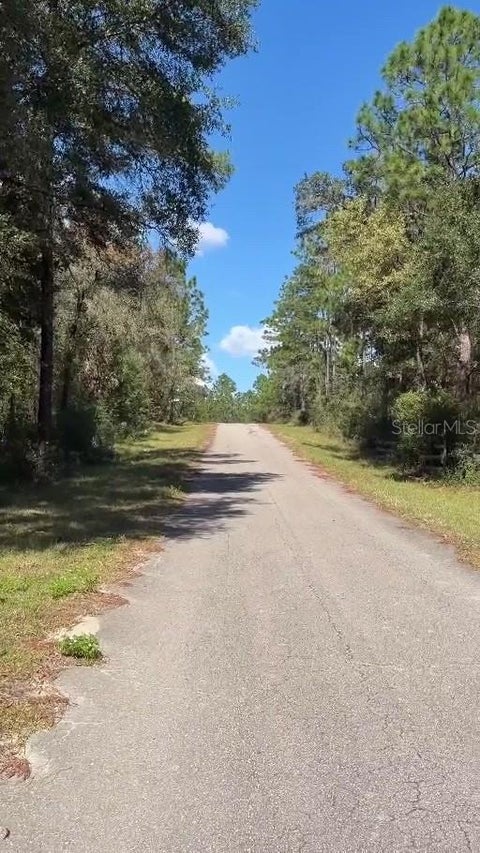 Tiny photo for NE 13th Lane, Williston, FL 32696 (MLS # TB8562181)