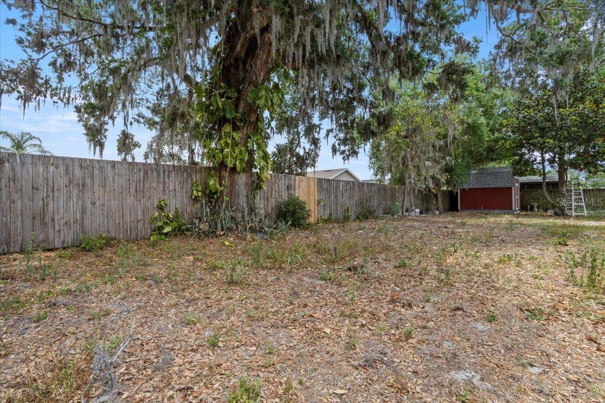 ROACH SUB - Residential Lease