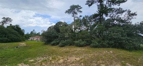 Photo of SW 24th Circle, Ocala, FL 34473 (MLS # OM734463)