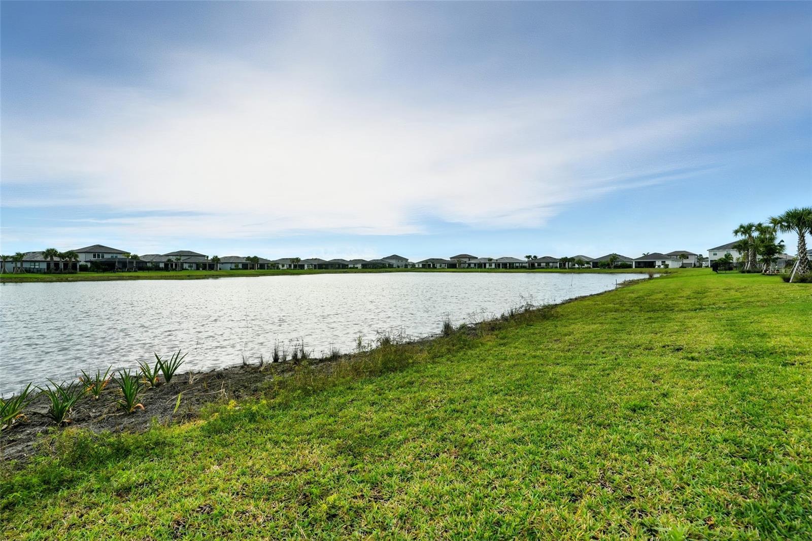 HAMPTON LKS/RIVER HALL SOUTH - Residential