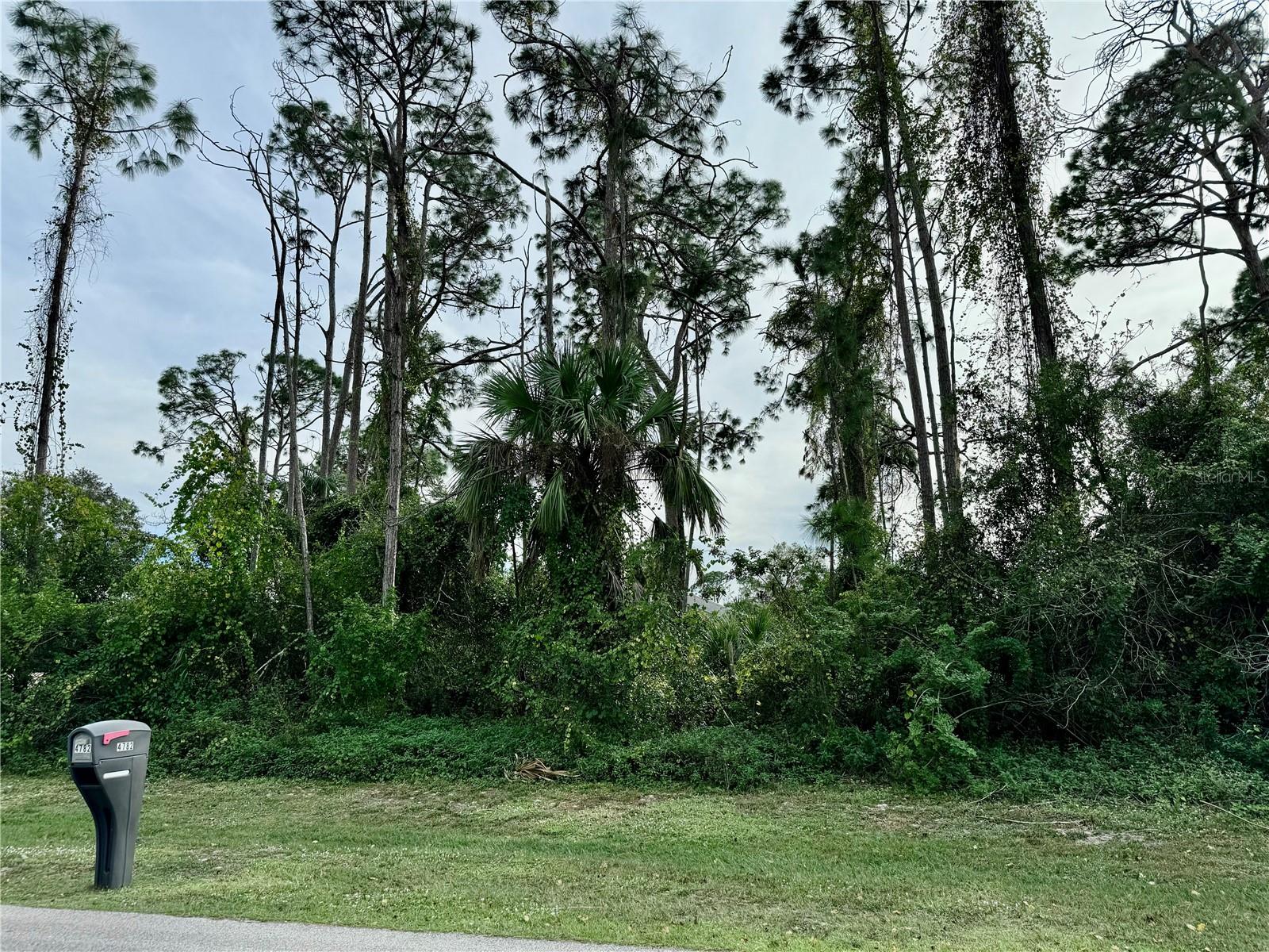 PORT CHARLOTTE SUB 52 - Land