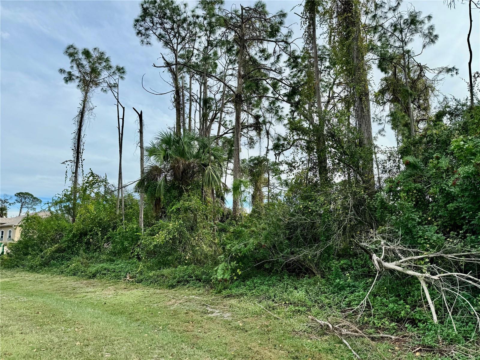 PORT CHARLOTTE SUB 52 - Land