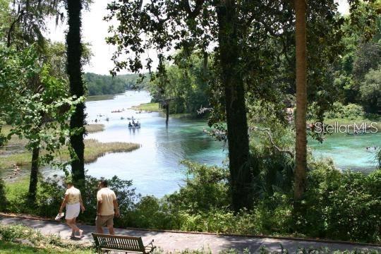 CITRUS SPRINGS - Residential