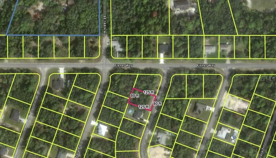 Affordable, 0.23 AC., HIGH and DRY, FLAT, WOODED BUILDING LOT. This land is NEAR LAKE WEIR with many more lakes also nearby too w/GOOD TREES on a rectangle shaped lot, and power next door. A growing area in a GREAT LOCATION for you to build your dream home. Nice, paved roads, easy access to Ocala, Lake Weir or the Villages. NO HOA and SITE BUILT HOMES ONLY. Buy this land to hold as an investment with cheap taxes and no timeline to build. Lot GPS Coordinates:  29.046706, -81.873969