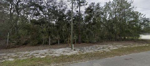 Tiny photo for Tbd SE Fisher Way Pl, Ocklawaha, FL 32179 (MLS # O6395495)