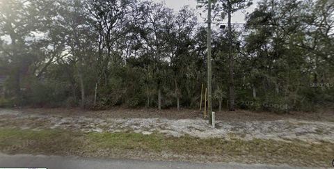 Tiny photo for Tbd SE Fisher Way Pl, Ocklawaha, FL 32179 (MLS # O6395495)