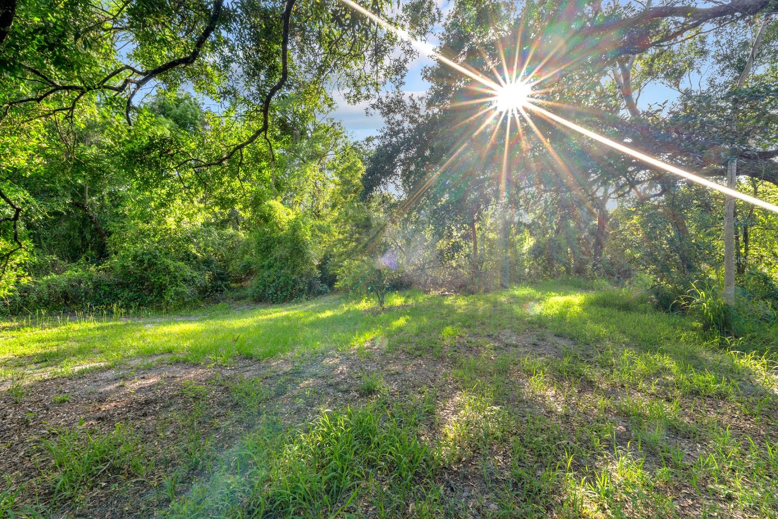 UNPLATTED - Commercial Sale