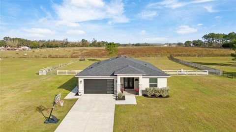 Photo of 32923 Drake Estates Way, Dade City, FL 33525 (MLS # TB8464891)