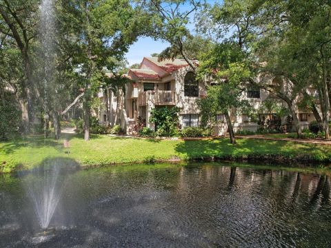 A home in SAFETY HARBOR