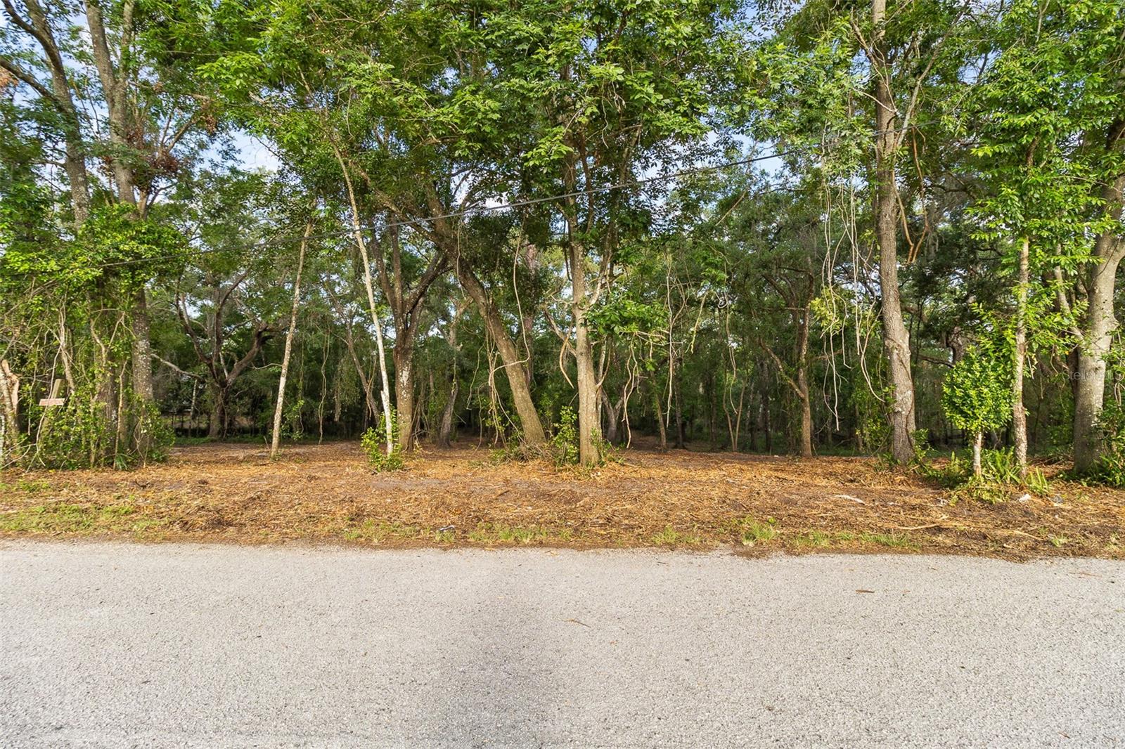 RIVERDALE SEC 2 - Land