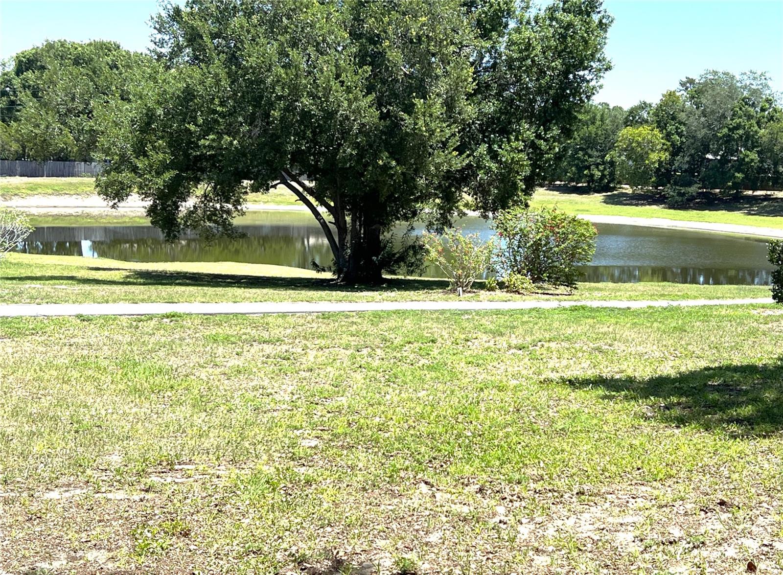 PINE RIDGE AT PALM HARBOR - Residential
