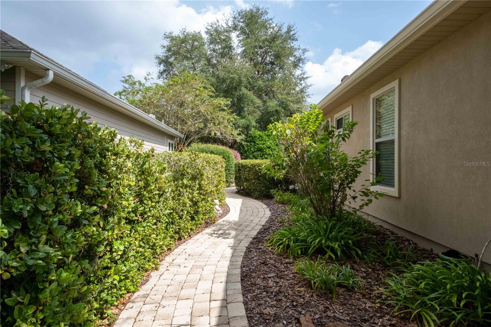 ARBOR GREENS PH 1 - Residential