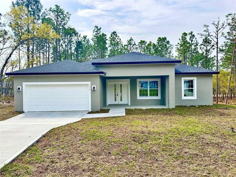 Photo of 2358 W Elmore Loop, Citrus Springs, FL 34434 (MLS # O6293159)