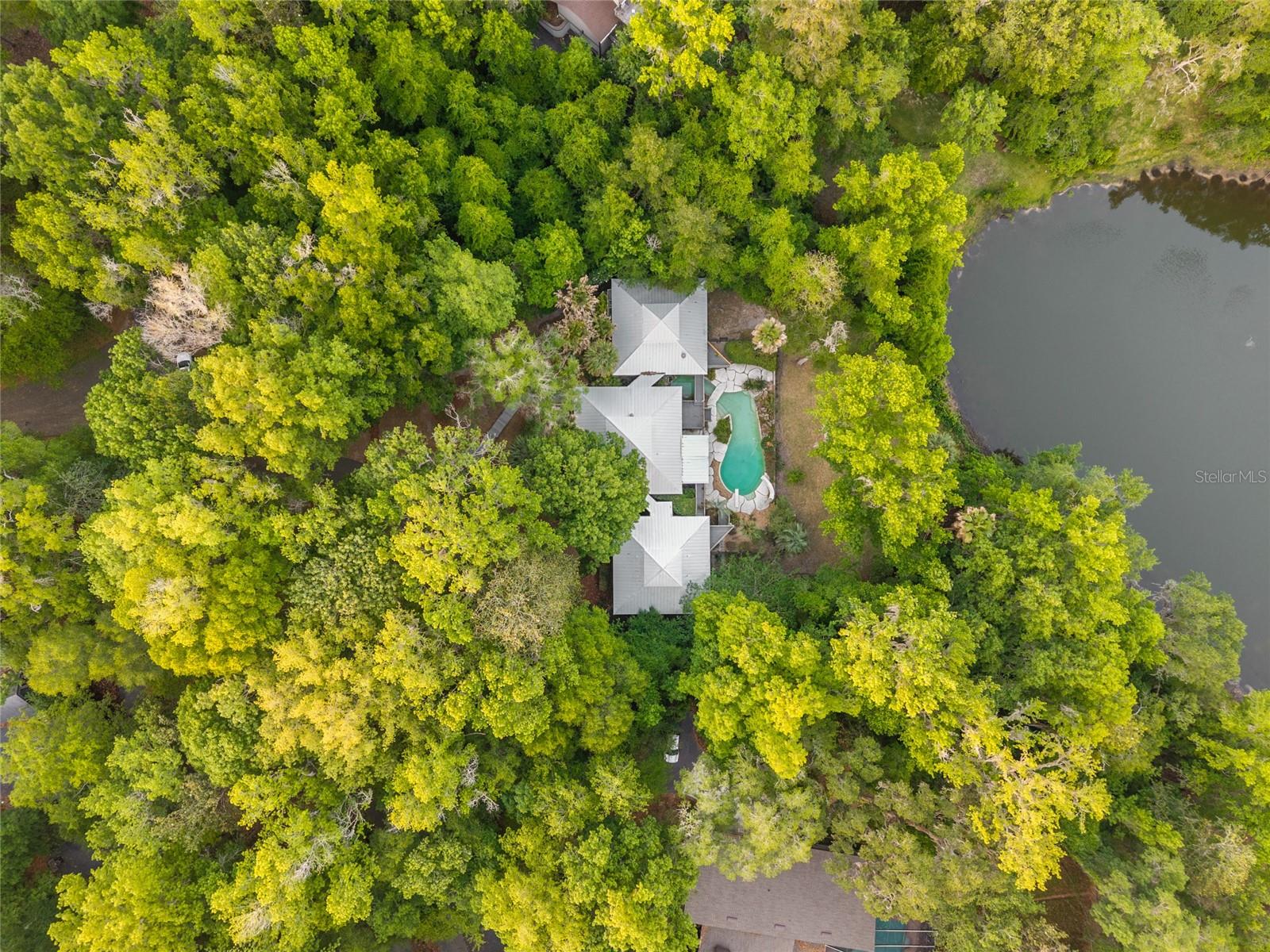 HAMMOCK THE - Residential