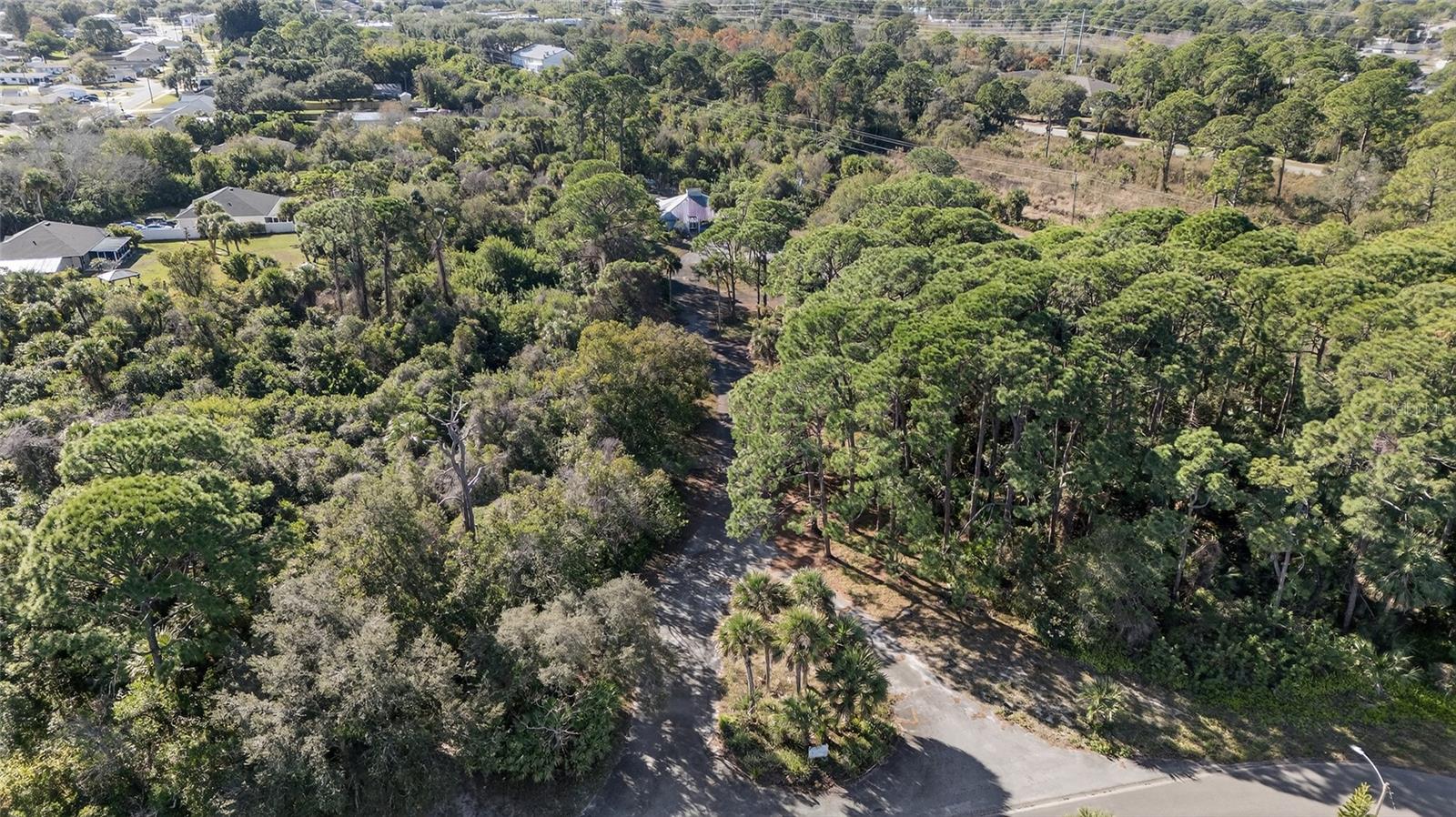 DELESPINE ON INDIAN RIVER - Land