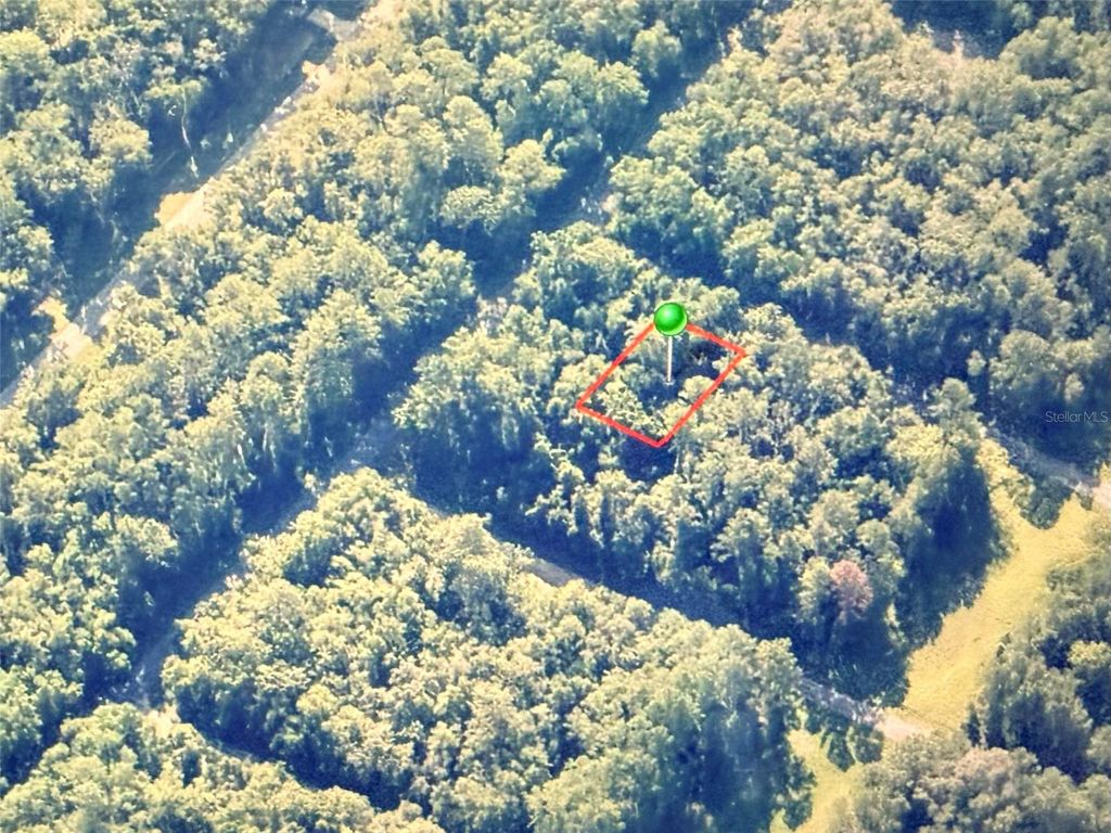 Photo of 775 E Elgrove Drive, Citrus Springs, FL 34434 (MLS # OM722814)