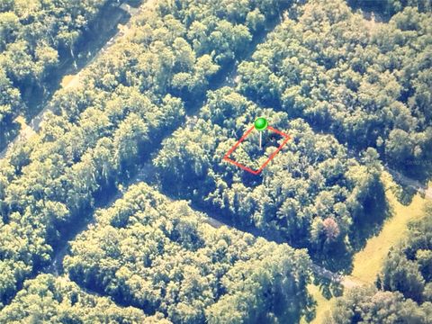 Tiny photo for 775 E Elgrove Drive, Citrus Springs, FL 34434 (MLS # OM722814)