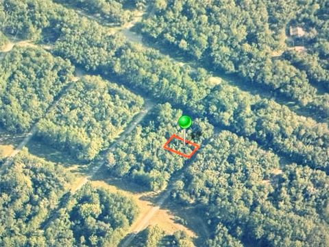 775 E ELGROVE DRIVE CITRUS SPRINGS FL 34434