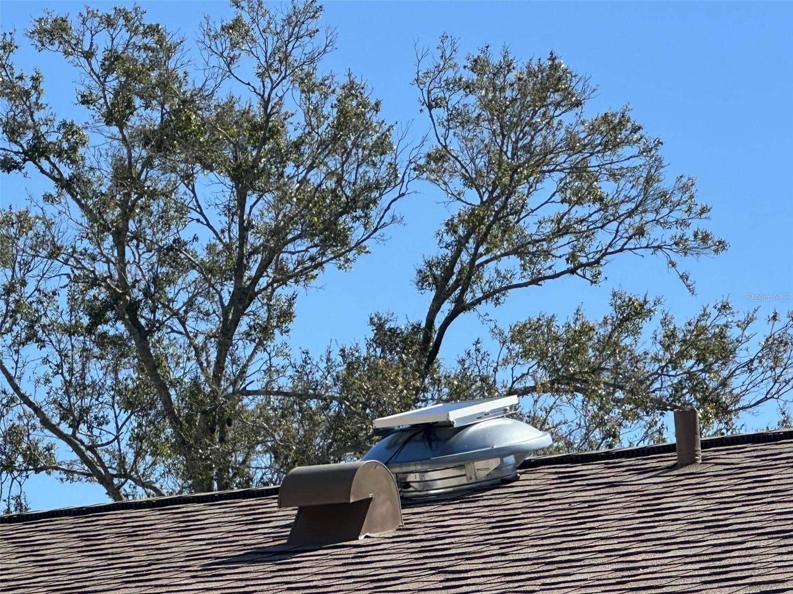 CYPRESS GREEN - Residential