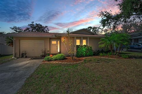 2914 CYPRESS GREEN DRIVE PALM HARBOR FL 34684