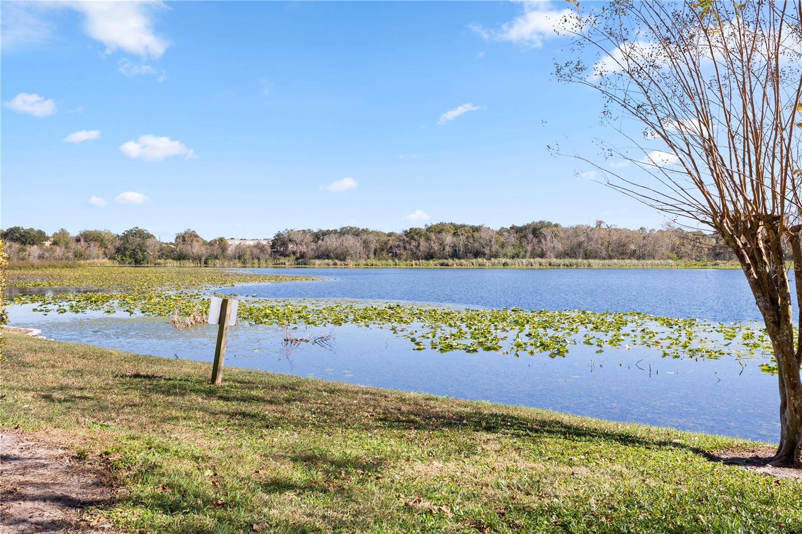 COVE AT PEARL LAKE - Residential