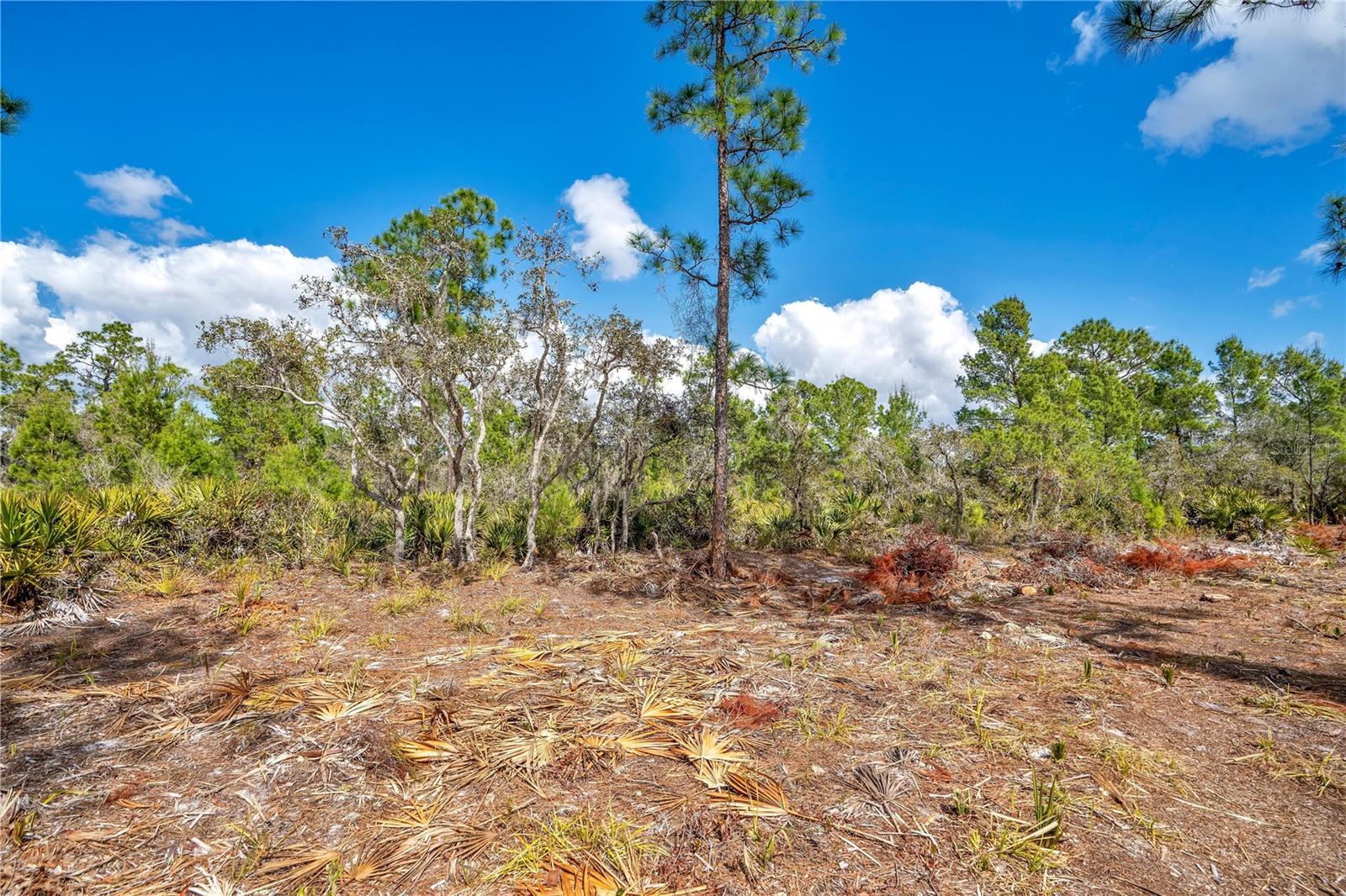 SEBRING LAKES ACRES - Land