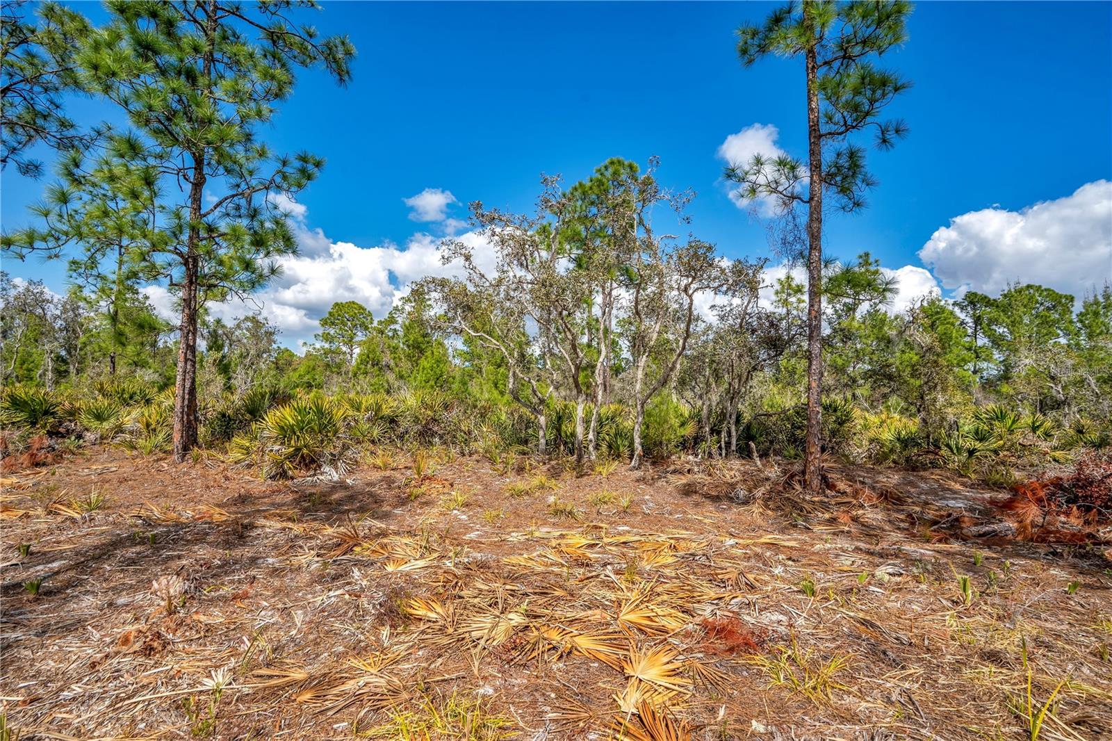 SEBRING LAKES ACRES - Land