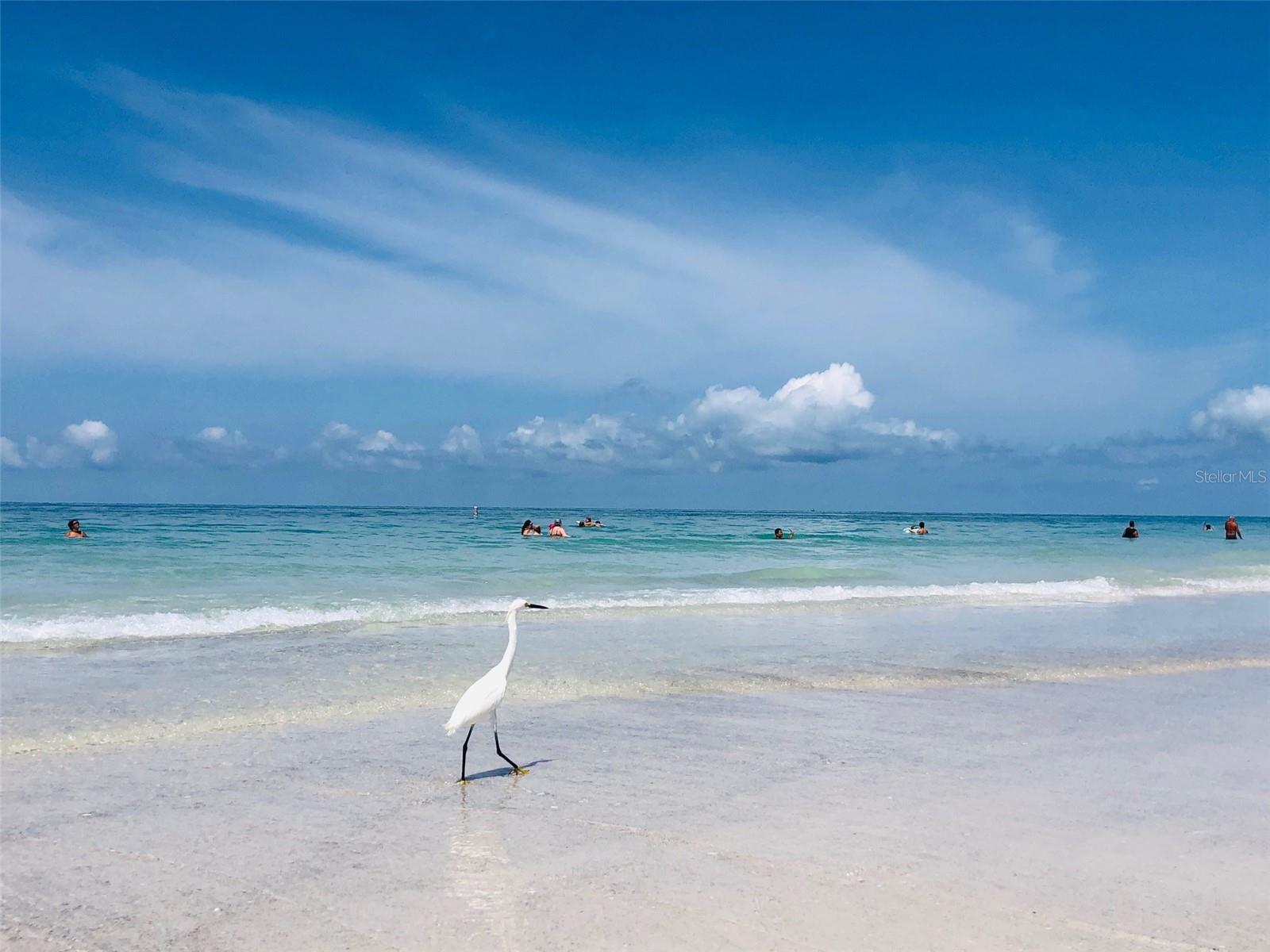 LIDO BEACH DIV A - Residential